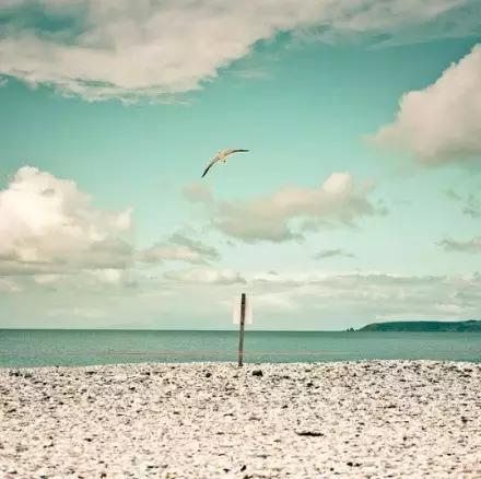 人啊,好好活着吧 人啊,好好活着吧