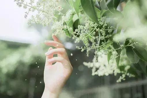 在岁月里做一个懂得的人 在岁月里做一个懂得的人