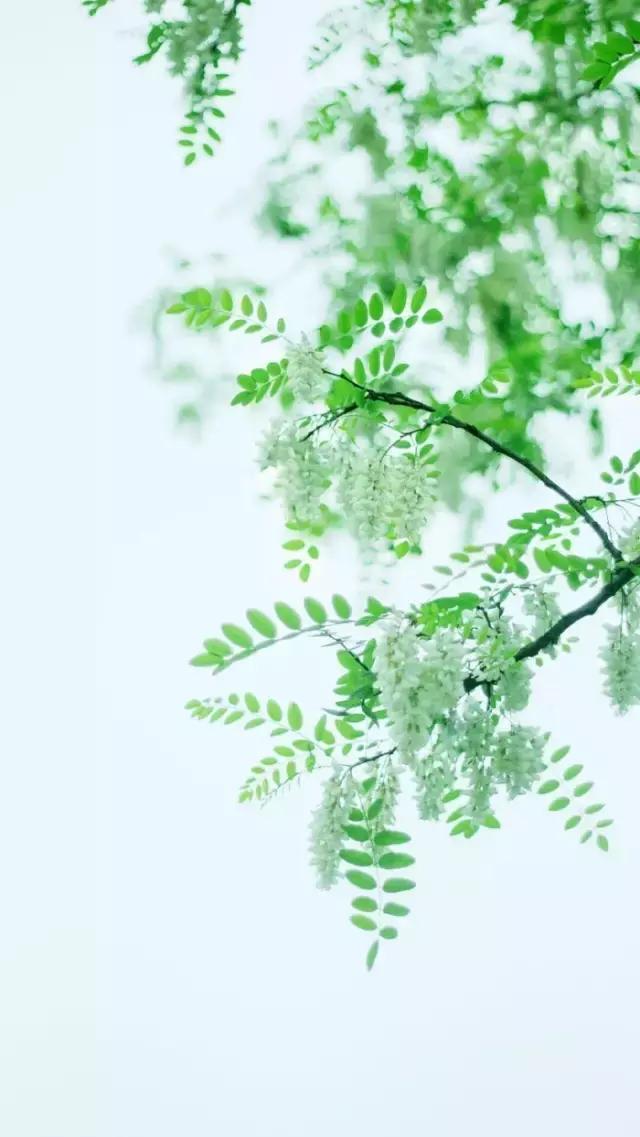 其实，我没你想的那么坚强，只是习惯一个人扛