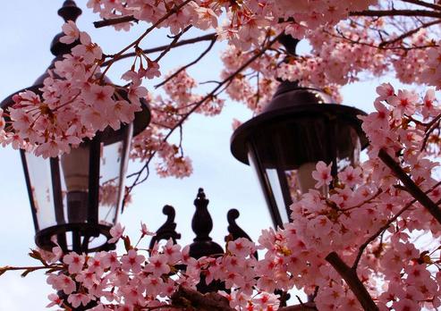 触动心灵的经典台词语录