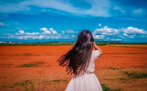 爱情毒鸡汤，越看越喜欢