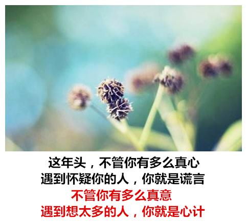 别人骂你，你别听；别人夸你，你别信