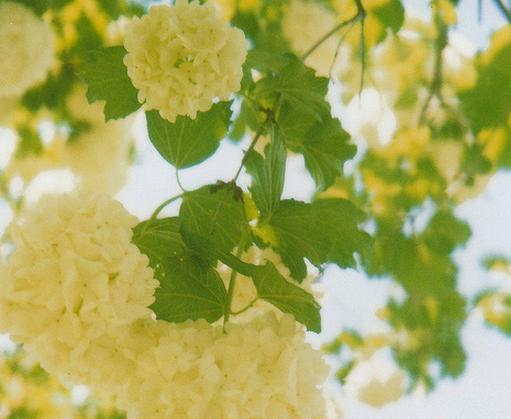 唯美浪漫语录：我爱这哭不出来的浪漫