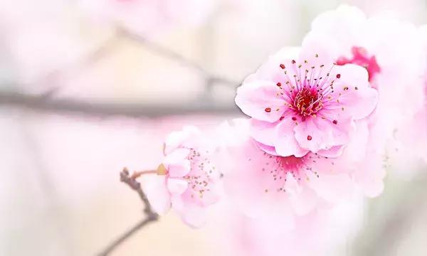 人心，不能冷落；感情，不容敷衍