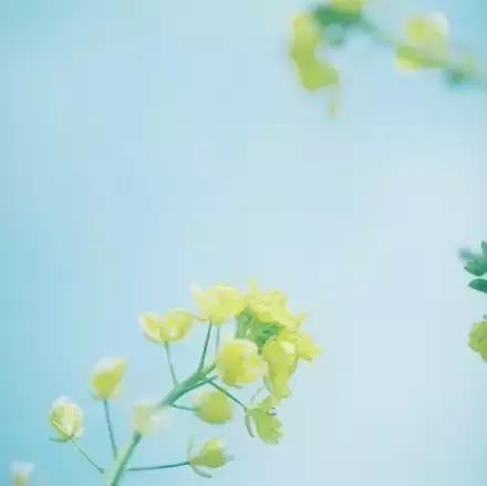 清 醒（写的真好）