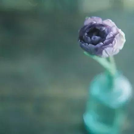 从现在开始，爱自己，享受生活并且微笑