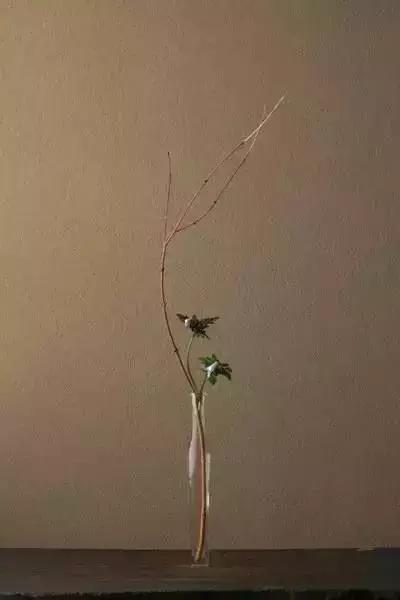 做人，不戴面具；交往，不玩心眼