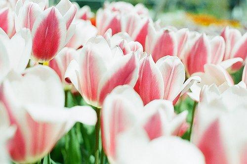 人生感悟:因为无能为力,所以顺其自然 人生感悟:因为无能为力,所以顺其自然