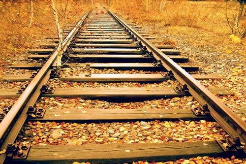 小清新温馨的爱情语录