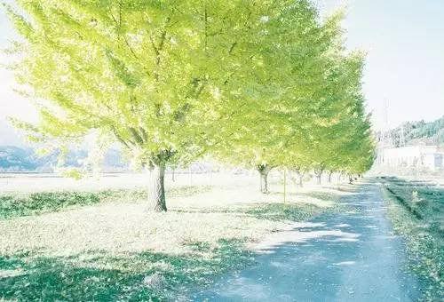 心情语录：为了等你，我错过了等我的人