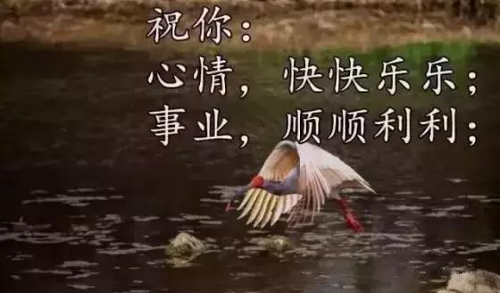 送你26个字