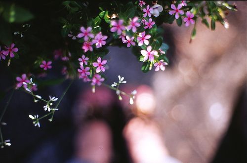 分享朋友圈好听到心醉的说说语录带图片