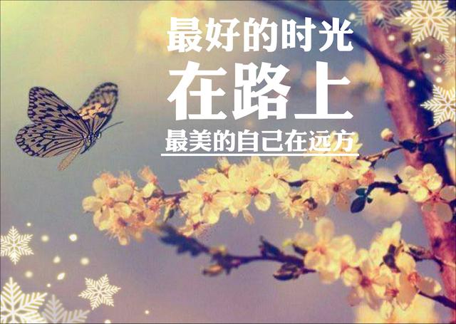 忍得住困苦的折磨，放得下挽留不了的美好