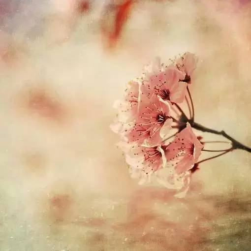 人生,太多身不由己 人生,太多身不由己