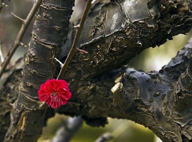 人生苦短，世事看淡，何苦计较