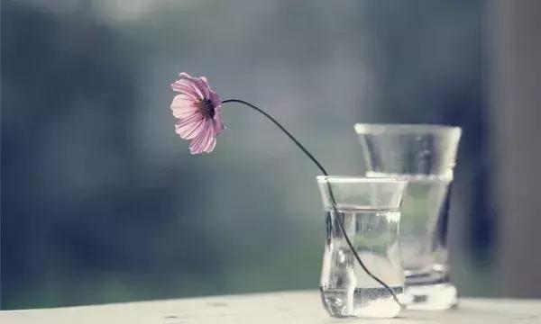 相处，要懂得换位思考