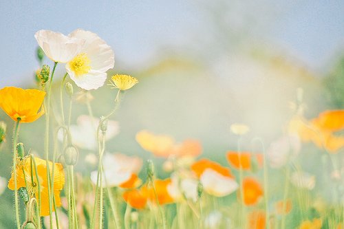 毒死人的精辟句子，太现实，直戳内心（收好）