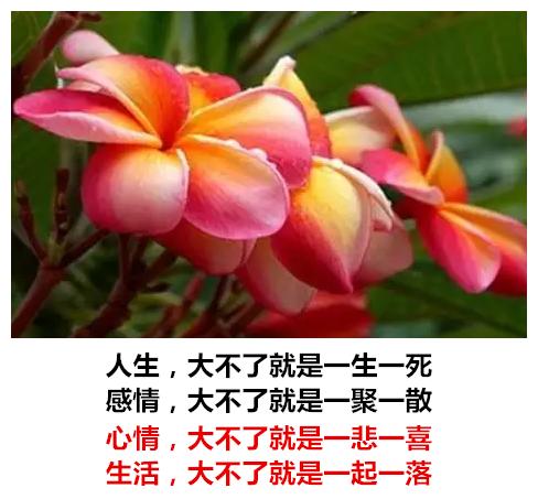 生活有苦有甜，爱情有闹有和，心情有悲有喜，日子有阴有晴