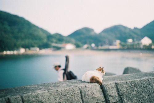 一些充满正能量的经典语录