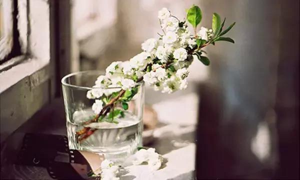 我们，不年轻了