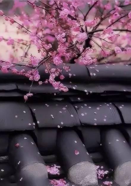 多少错过，遗憾了终生