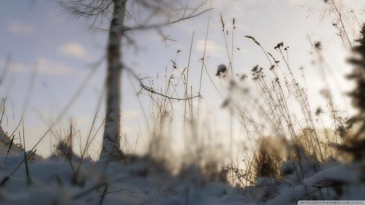 看你哭的人很多，陪你哭的人很少