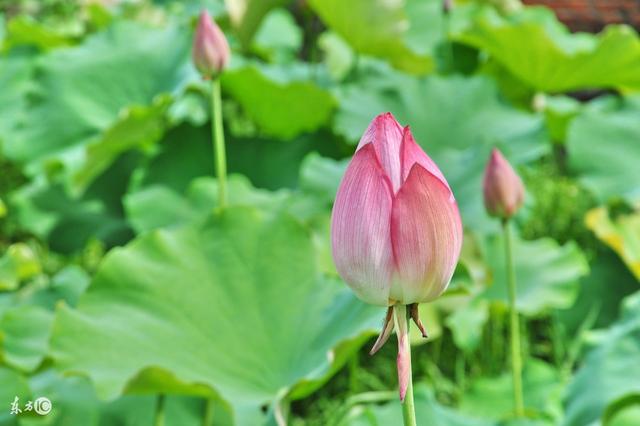 人生，是条路，每个人有每个人的选择