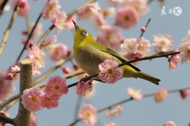 做人，不要自作聪明