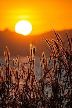 冯骥才：择一城终老，遇一人白首