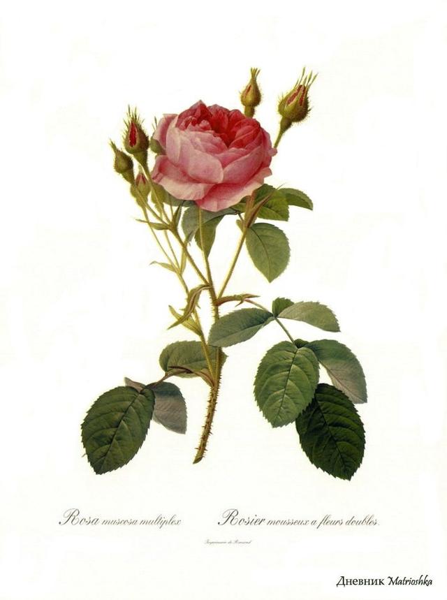 20条非常精辟的一句话经典语录,句句大实话 20条非常精辟的一句话经典语录,句句大实话