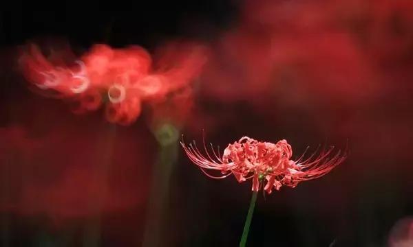 学会放手,幸福需要自己成全 学会放手,幸福需要自己成全