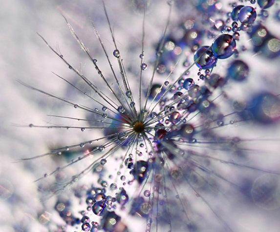 适合发说说的经典治愈系语录