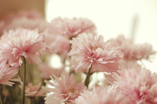 朋友圈最能治愈心灵的鸡汤语录 朋友圈最能治愈心灵的鸡汤语录