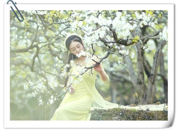 你惊艳了我的时光，却没有温柔我的岁月