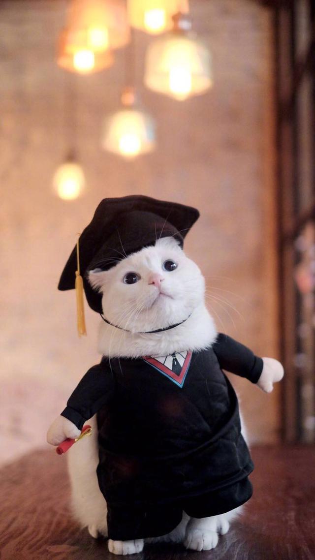 超级火爆的网络经典语录 超级火爆的网络经典语录