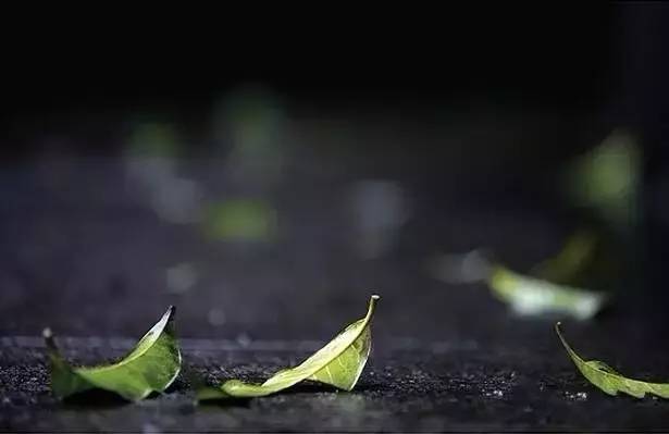 现在，该懂了