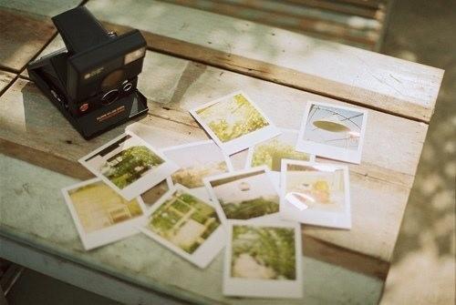 情感语录：不介意孤独，比爱你舒服