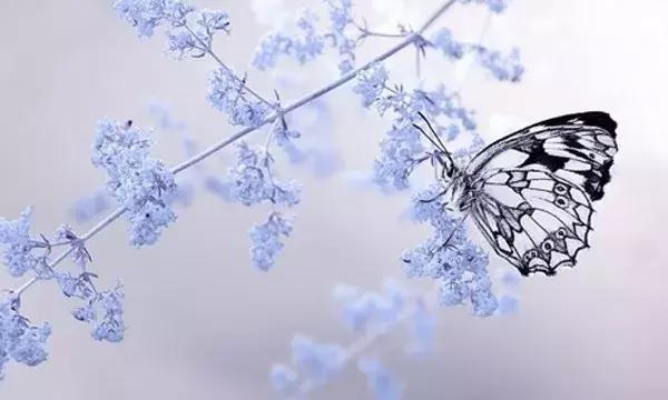 好棒的一段话！（句句戳心）