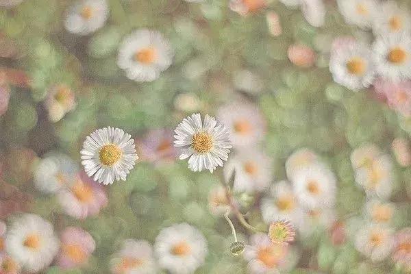 有些事情，一旦过眼，便是烟云