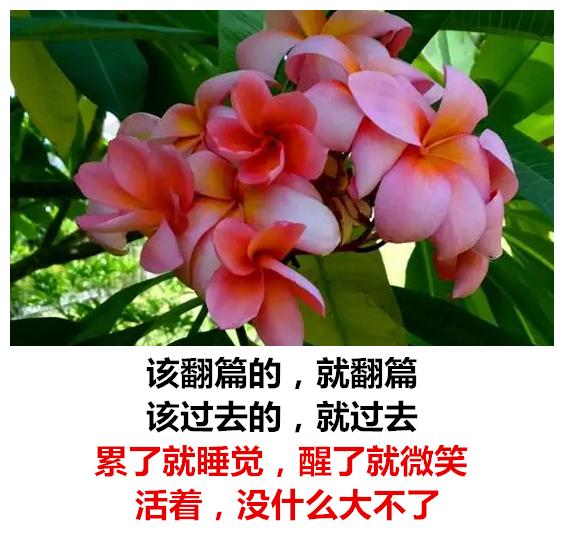 生活有苦有甜，爱情有闹有和，心情有悲有喜，日子有阴有晴