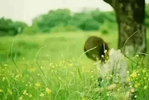 感谢生命中遇见的每一个人