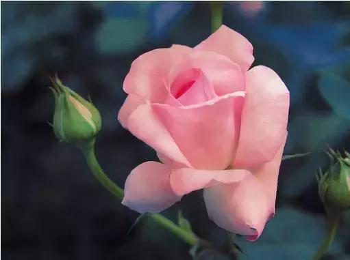 时 间(醉心文字) 时 间(醉心文字)