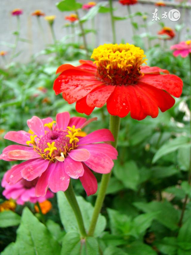 人到中年，一看透，二看淡，三看清