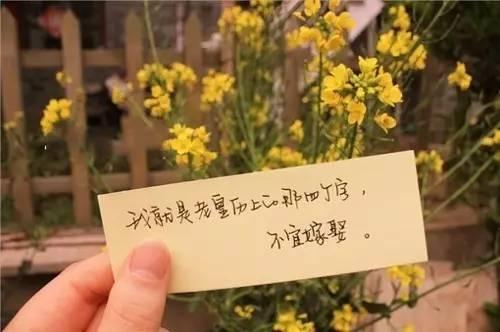 没有受过伤的人，才会讥笑别人身上的伤痕