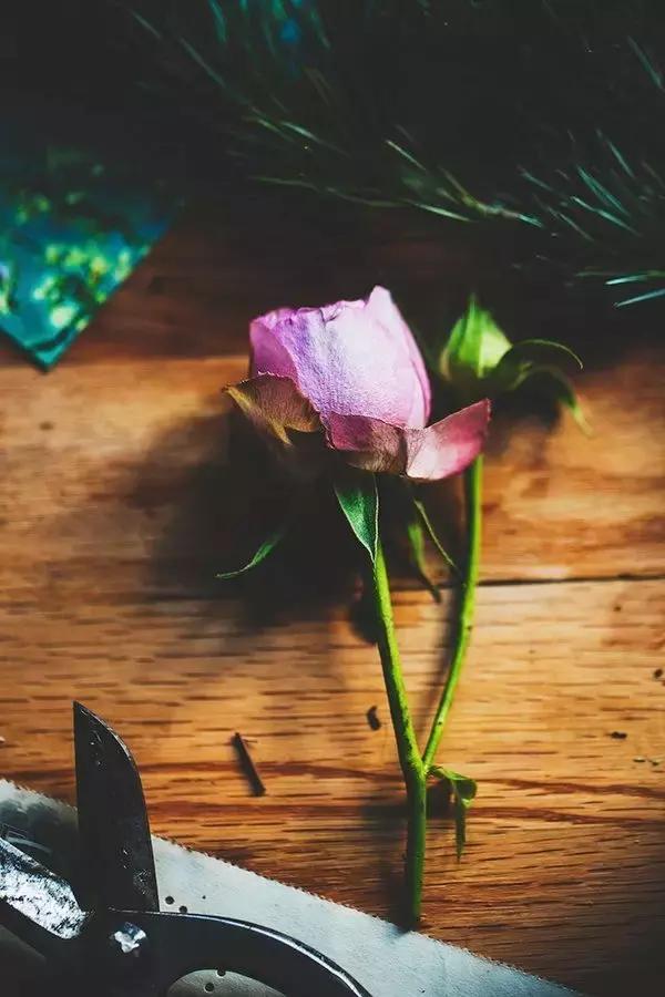 计较越少,就越幸福 计较越少,就越幸福