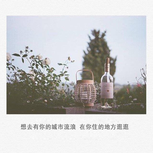 有些感情就像废纸篓里的文件，不想看到，不忍清空（句句扎心）