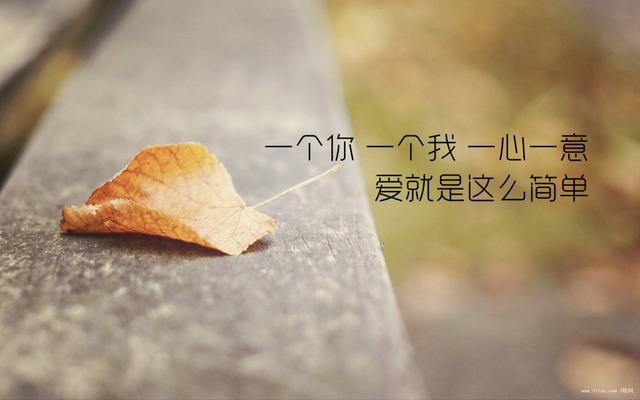 世界再大，还是遇见你；世界再小，还是丢了你