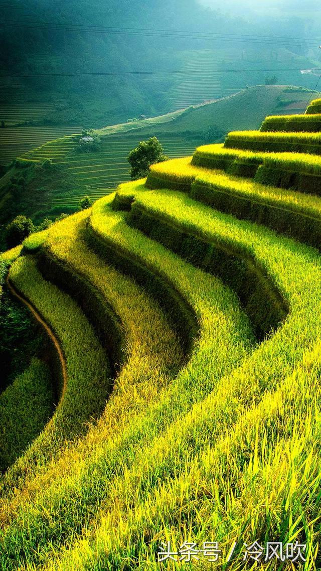 每天必读的人生经典句子