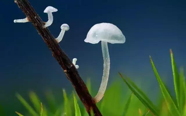 累了就睡觉，醒了就微笑，如此简单、甚好