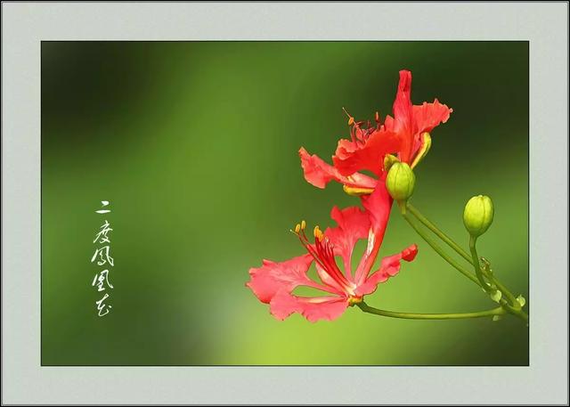 九月：但愿人长久